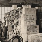 Perusahaan MMS Yang Merujuk Ke Brand Sepatu