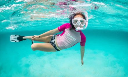 Rekreasi Air Snorkeling Melihat Ikan Dari Jarak Dekat