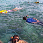 Aktivitas Berenang Snorkeling Di Bawah Laut