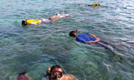Aktivitas Berenang Snorkeling Di Bawah Laut