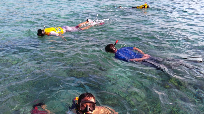 Aktivitas Berenang Snorkeling Di Bawah Laut