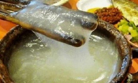 Makanan Berbahan Sagu Yang Di Olah Menjadi Papeda