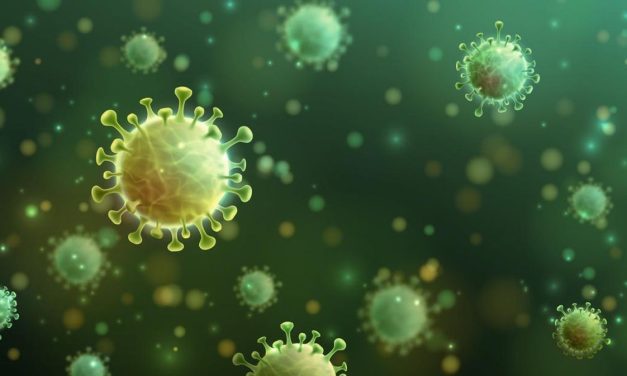 Makhluk Mikroorganisme Yang Di Sebut Sebagai Virus