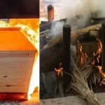 Hasil Dari Kremasi Menciptakan Abu Mayat Dari Pembakaran