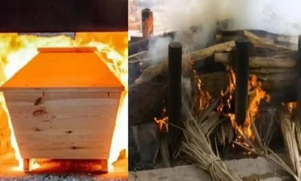 Hasil Dari Kremasi Menciptakan Abu Mayat Dari Pembakaran