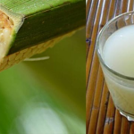 Fermentasi Buah Yang Di Jadikan Minuman Tuak