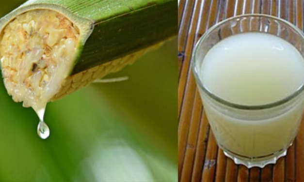 Fermentasi Buah Yang Di Jadikan Minuman Tuak