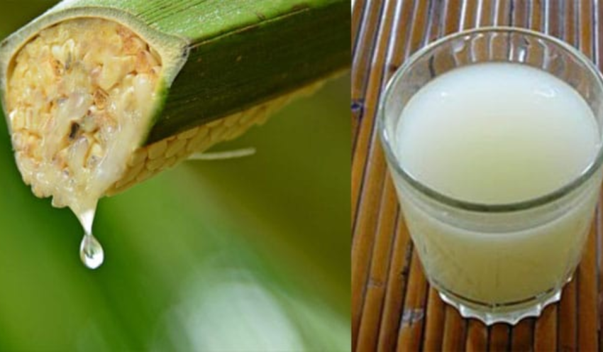 Fermentasi Buah Yang Di Jadikan Minuman Tuak