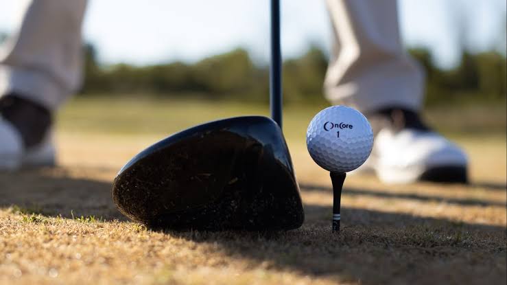 Olahraga Stik Golf Yang Tergolong Cukup Mahal