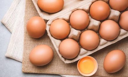 Bahan Pangan Telur Memiliki Manfaat Cukup Tinggi