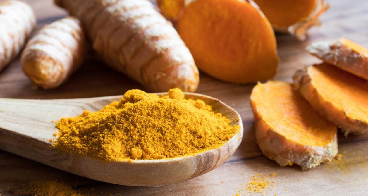 Tumbuhan Herbal Temulawak Dari Negara Tropis