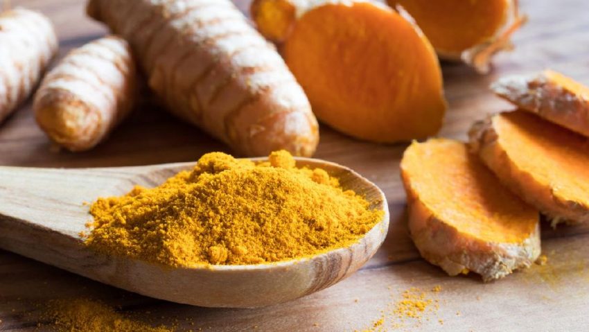 Tumbuhan Herbal Temulawak Dari Negara Tropis