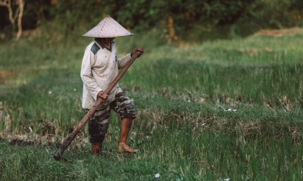 Peralatan Berkebun Cangkul Komponen Pentingnya