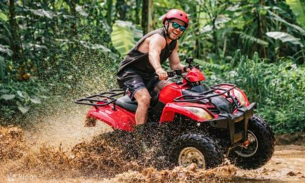 Kendaraan Kecil ATV Namun Kuat Segala Medan