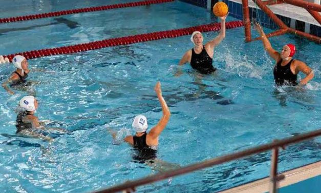 Olahraga Beregu Air Sebuah Permainan Polo