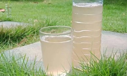 Fermentasi Nira Menjadikan Sebuah Minuman Tradisional Tuak