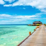 Suatu Tempat Negara Dengan Banyak Populasi Kehidupan
