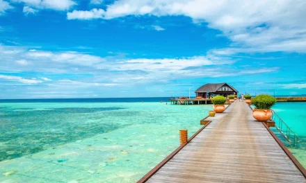 Suatu Tempat Negara Dengan Banyak Populasi Kehidupan