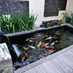 Sebuah Wadah Air Khusus Untuk Banyak Hal Atau Kolam