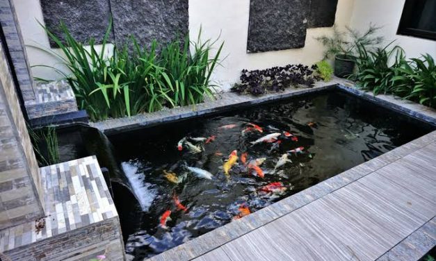Sebuah Wadah Air Khusus Untuk Banyak Hal Atau Kolam