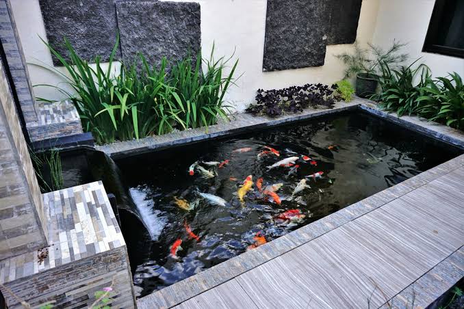 Sebuah Wadah Air Khusus Untuk Banyak Hal Atau Kolam